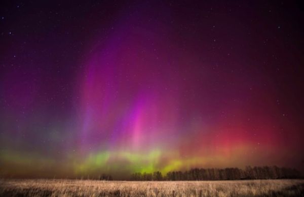 Рязанская обл