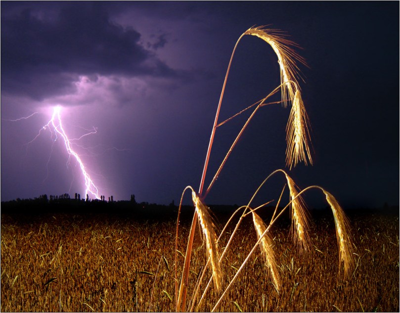 %d0%b3%d1%80%d0%be%d0%b7%d0%b0