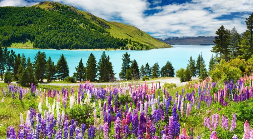 красота природы