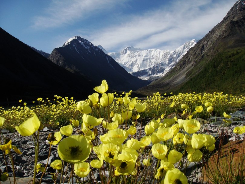 Весна - обновление жизни агни йога живая этика