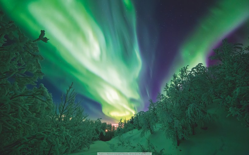 Yandex-Images-2018-01-26