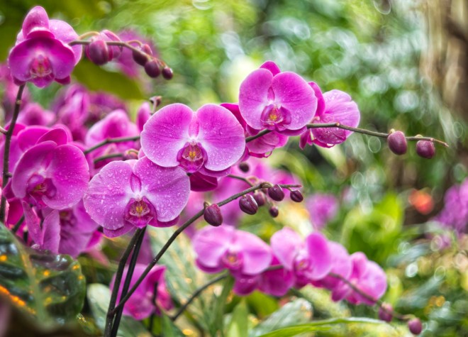 Полюбите думать красиво