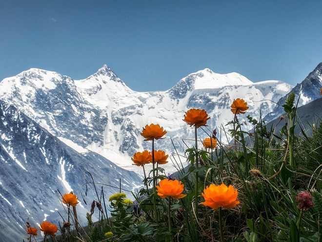 Устремитесь уже сейчас в это прекрасное будущее сквозь тьму последних сроков перехода к нему.