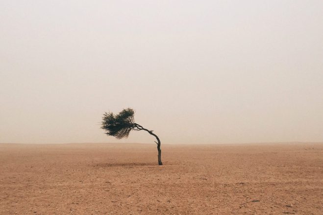 ...космическая жизнь не терпит пустоты там, где должно быть высокое космическое осознание смысла и назначения человека, и соответственно этому осознанию творчество жизнепостроений.